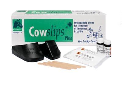 Cowslips Plus - 10 - Mixed