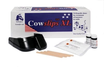 Cowslips XL - 10 - Right Hand