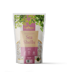 Deco-Pak Chelsea Horticultural Sea Shells - Handy Bag 3kg