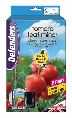 Defenders Tomato Leaf Miner Pheromone Trap
