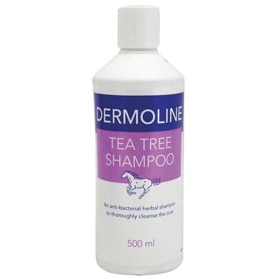DERMOLINE TEA TREE SHAMPOO