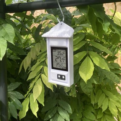 Digital Max/Min Thermometer