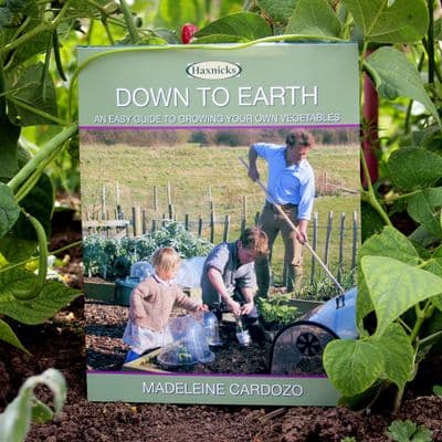Down to Earth Book