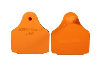 Eartag Back Blank - Orange