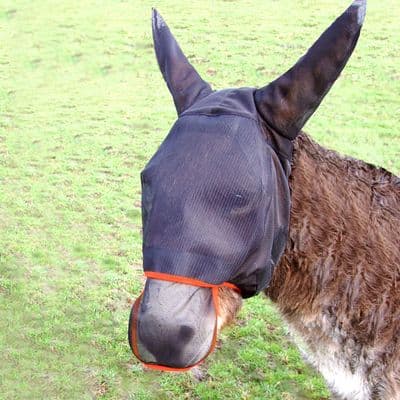EQUILIBRIUM FIELD RELIEF MAX FLY MASK DONKEY