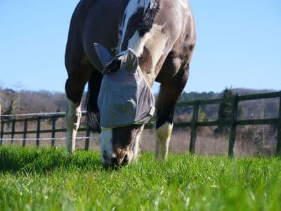 EQUILIBRIUM FIELD RELIEF MIDI FLY MASK & EARS GREY/YELLOW