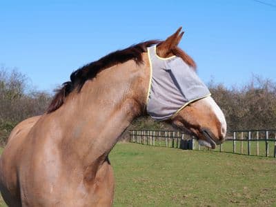 EQUILIBRIUM FIELD RELIEF MIDI FLY MASK NO EARS GREY/YELLOW