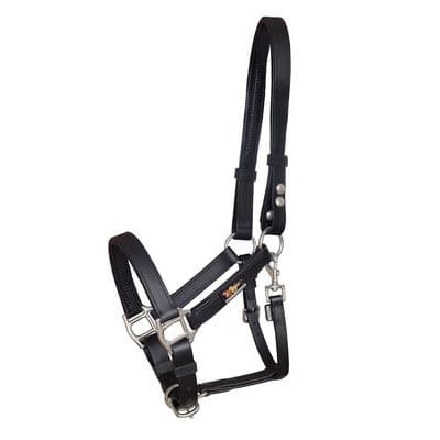 EQUILIBRIUM STELLAR HEADCOLLAR BLACK
