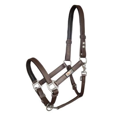 EQUILIBRIUM STELLAR HEADCOLLAR BROWN