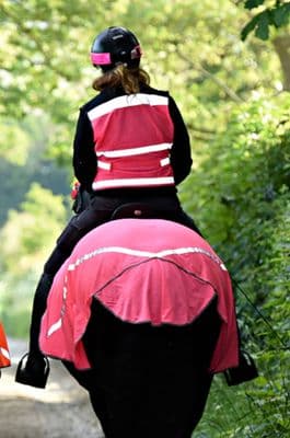 EQUISAFETY BREATHABLE MESH QUARTER SHEET PINK