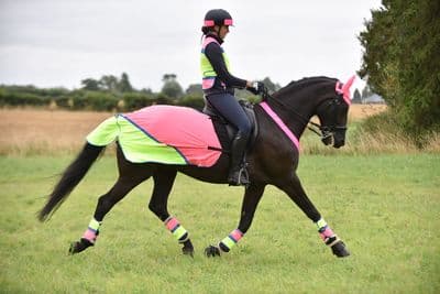 EQUISAFETY BREATHABLE MESH QUARTER SHEET PINK/YELLOW