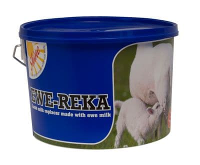 Ewe Reka - 4.5kg