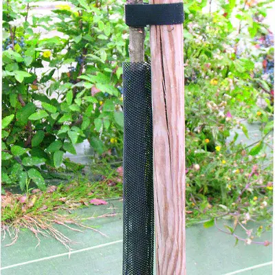 Expandable Treex Tree Guard 11cm dia x H110cm 5pk