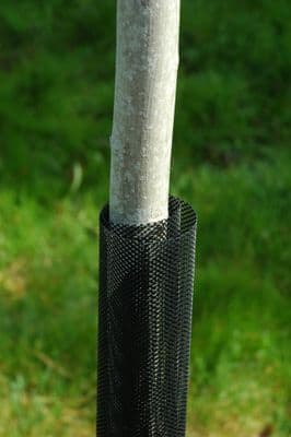 Expandable Treex Tree Guard 11cm dia x H55cm 5pk
