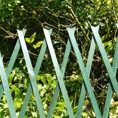 Expanding Flat Wooden Trellis Green W30cm x H180cm