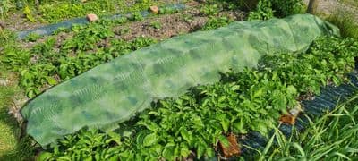 Fern Fleece Blanket 1.8m x 10m