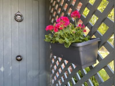 Flower Box 320 x 195 x 155mm Anthracite with tray