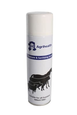 Footcare & Sanitising Spray 500ml