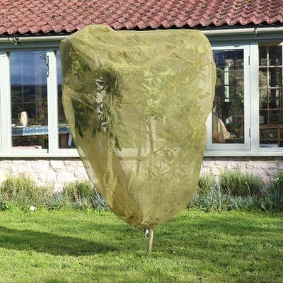Fruit Bush Insect Protection Net W1m H1m