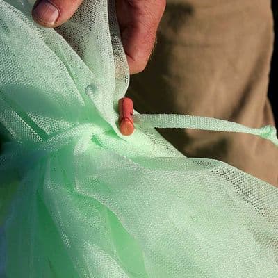 Fruit Tree Insect Protection Net W2m H2m