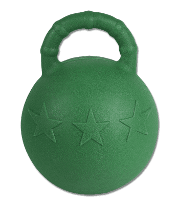 Fun Ball, green, with Apple Flavour 25 cm