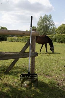 FYNALITE VALUE PLASTIC STABLE FORK LONG HANDLE