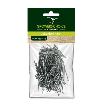 Galvanised Nails 65mm 200g