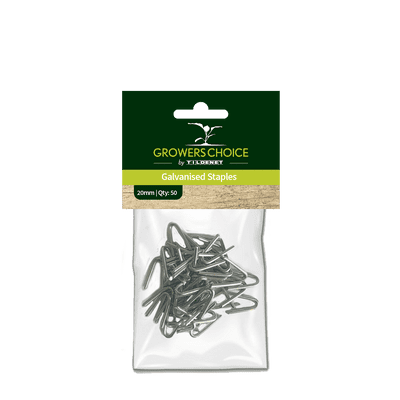 Galvanised Staples 20mm 50pk