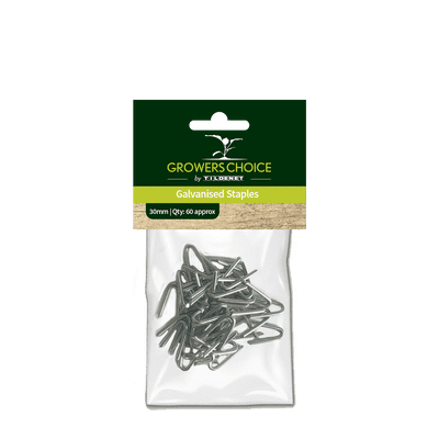 Galvanised Staples 30mm 50pk