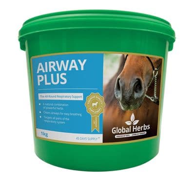 GLOBAL HERBS AIRWAY PLUS POWDER