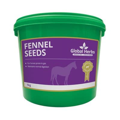 GLOBAL HERBS FENNEL SEEDS