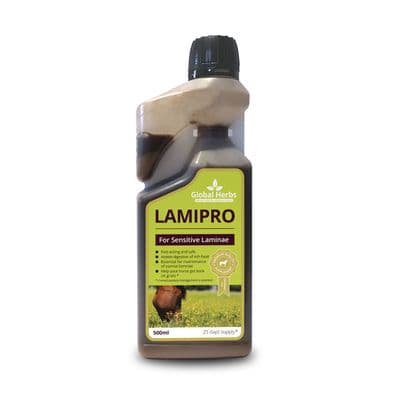 GLOBAL HERBS LAMIPRO LIQUID
