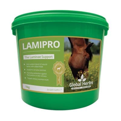 GLOBAL HERBS LAMIPRO POWDER