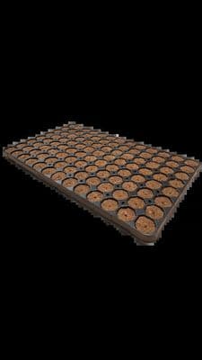 Gold Label Dry Plug Tray x 104