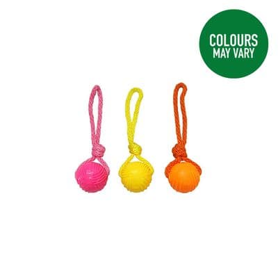 GOOD BOY FETCH GLOW IN THE DARK BALL ON ROPE