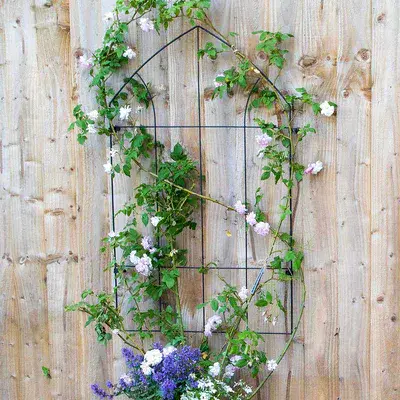 Gothic Wall Trellis H100cm W60cm