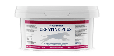 Greyhound Creatine Plus 1.2kg