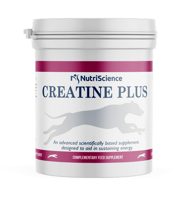 Greyhound Creatine Plus 400g