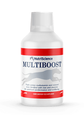 Greyhound MultiBoost 1L