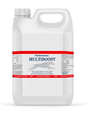 Greyhound MultiBoost 5L