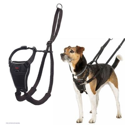 HALTI NO PULL HARNESS BLACK