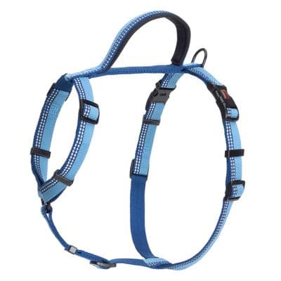 HALTI WALKING HARNESS BLUE