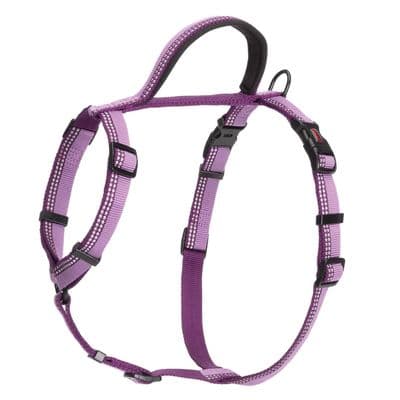 HALTI WALKING HARNESS PURPLE