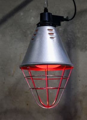 Heatlamp Infrared Assembly - no Dimmer