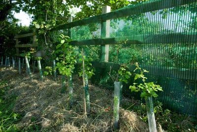 Heavy Duty Windbreak Green 1m x 30m  BULK ROLL