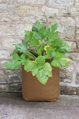 Hemp Fibre Pot 40Ltr W37cm H37cm