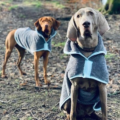 HENRY WAG DRYING COAT - XXLARGE (80 CM) - GREY/BLUE