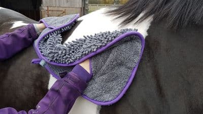 HENRY WAG EQUINE NOODLE GLOVE TOWEL