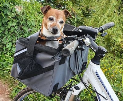HENRY WAG PET PANIER BIKE SEAT