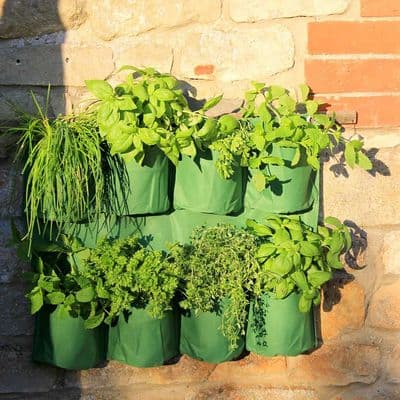 Herb Wall Garden